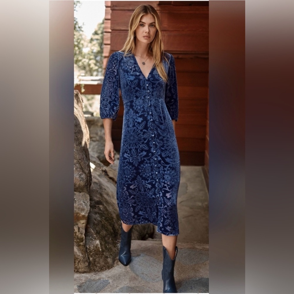 Johnny Was JADE Ryan Silk Velvet Burnout Midi Dress Bohemian Whimsigoth Floral - Picture 6 of 14